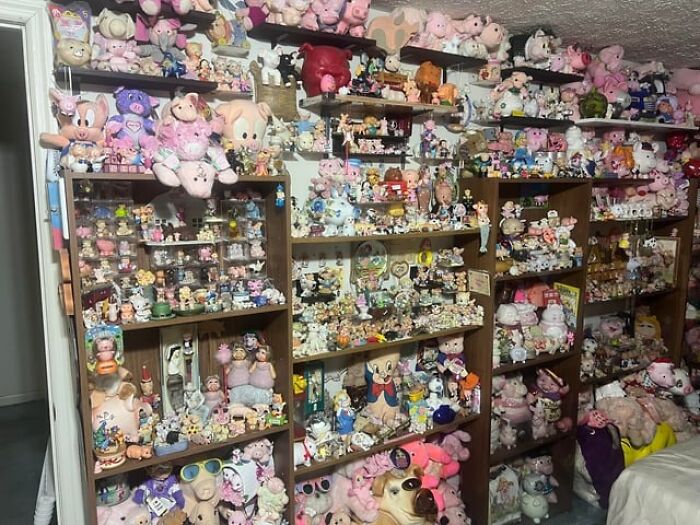 Room filled with shelves covered in a bizarre collection of pig-themed toys and stuffed animals found inside a stranger’s house.