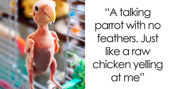 “The Horrors I Saw In That Home Nearly Broke Me”: 42 Weird Things Workers Have Seen Inside Strangers’ Homes