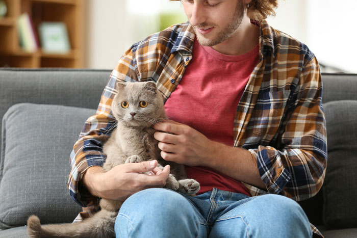 Man stroking cat during intimacy while sitting on a couch in a cozy living room environment.