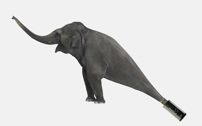 Elephant with a USB drive tail in a creative ad campaign concept featuring elephants for marketing and branding.