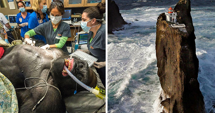 50 Of The Most Frightening Photos People Have Ever Taken While On The Job (New Pics)