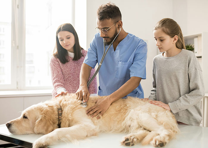Veterinarian examining a golden retriever with a stethoscope while two girls watch during a pet checkup session.