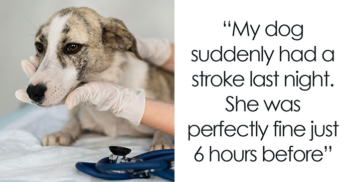 People Are Sharing The Things That Ruined Their Thanksgiving, And These 44 Are Wild