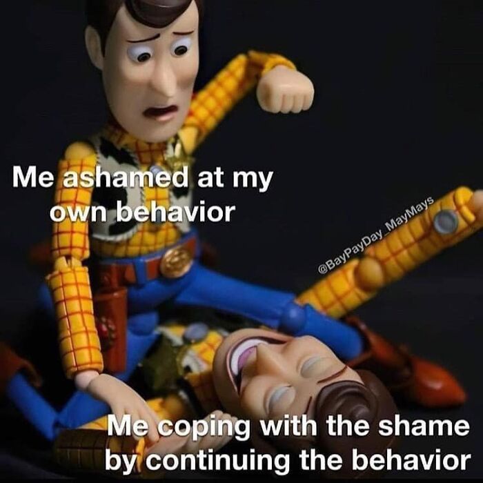 Toy Woody figures illustrating shame and coping behavior in a funny and relatable meme shared by memes to discuss in therapy page.