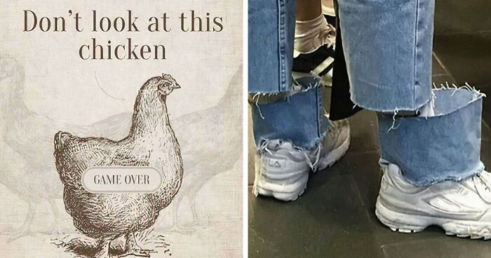 50 Chaotic Images Where “Things Only Get Weirder” The Longer You Look (New Pics)