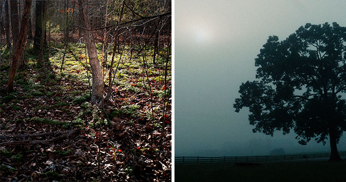 This Virginia Artist Turns Family History And Grief Into Striking Visual Storytelling (20 Pics)