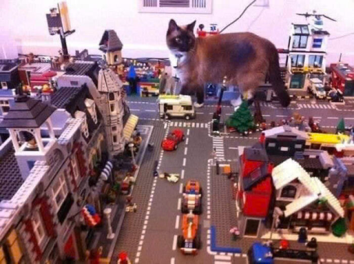 Brown and white cat standing on a detailed Lego town street scene with buildings and vehicles, showcasing adorable cats.