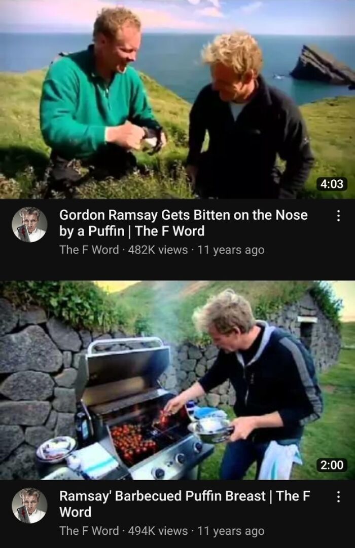 Two images of Gordon Ramsay outdoors near coastline and grilling puffin breast, British humor and culture showcased.