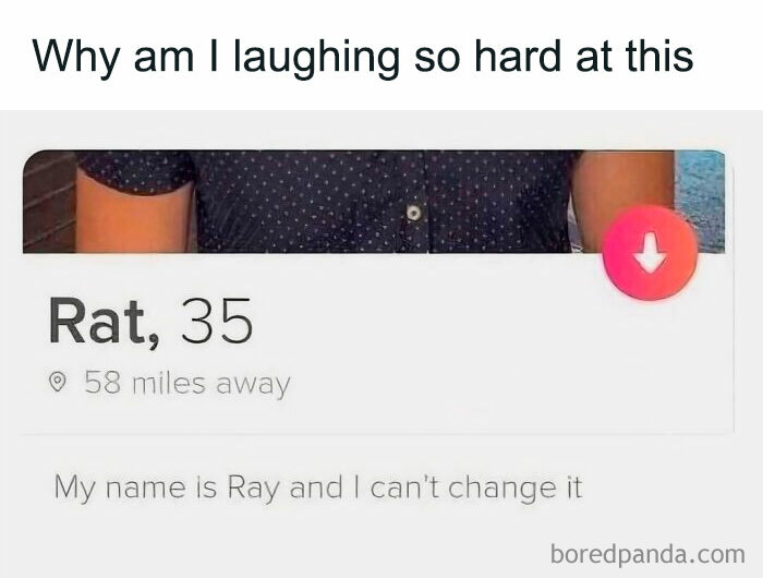Funny British meme showing a dating profile with a typo in the name Rat instead of Ray, highlighting British humor.