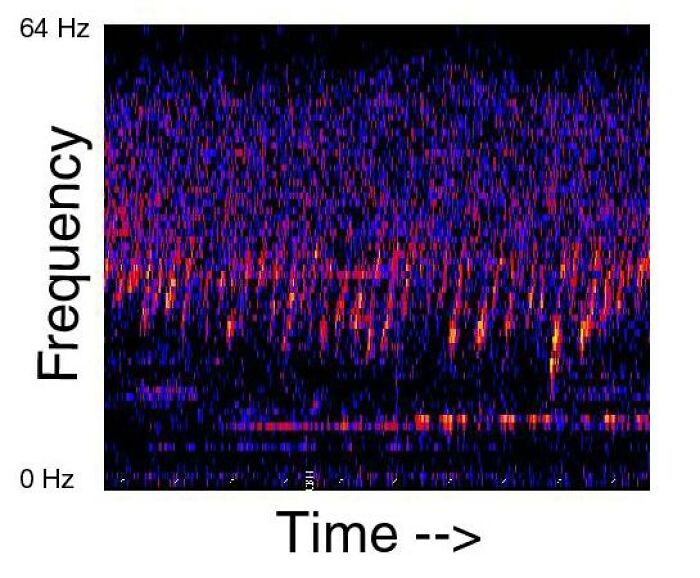 Spectrogram showing unusual ocean sound frequencies over time, highlighting weird and fascinating things in the ocean.