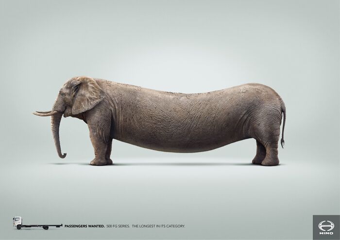 Elephant with elongated body in a creative ad campaign showcasing unique and humorous elephant-themed advertising concepts.