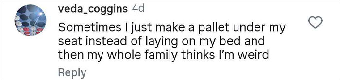 Screenshot of a social media comment revealing a hilariously strange thing someone does when nobody is watching.