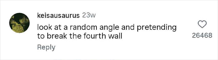 Social media comment revealing a hilariously strange thing people do when no one is watching, about breaking the fourth wall.