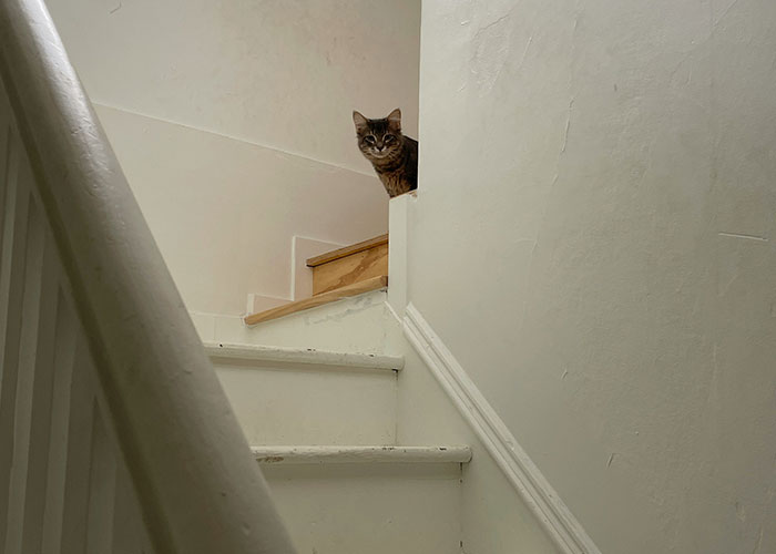 42 Unbelievable Things Autopsy Doctors Found During Examinations