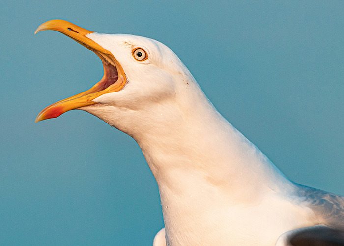 “He Lost His Leg”: 44 Instant Karma Moments Where People Got Exactly What They Deserved