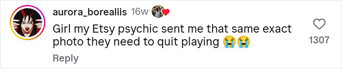 Comment from user aurora_borealiis on social media about Etsy psychic sending identical photo and joking about quitting.