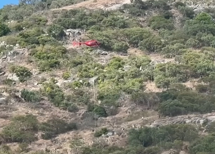 Red helicopter hovering over dense vegetation on Great Barrier Reef island during elderly woman search and rescue operation.
