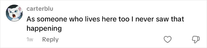 Comment from user carterblu expressing surprise and disbelief about an event related to job interviews in Korea.