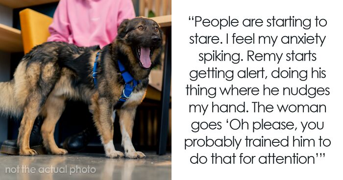 “She Started Crying”: Karen Learns A Harsh Lesson After Accusing Someone Of Lying About Their Service Dog