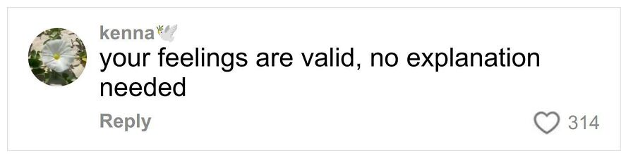 Comment on social media stating your feelings are valid with 314 likes related to woman slamming ex-mother-in-law.