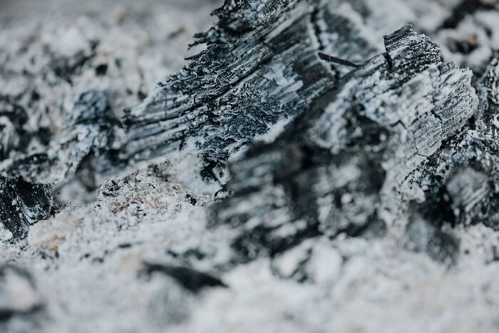Close-up of charred wood and ashes, evoking a mind-bending scenario that challenges your morals and perspective.