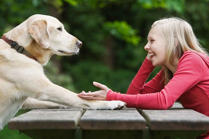 Young woman smiling while holding paws of a Labrador dog on a wooden table in an outdoor moral challenge scenario