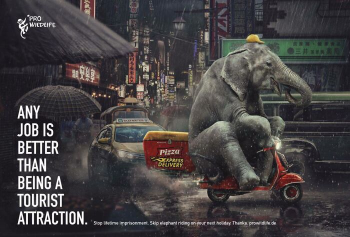 Elephant wearing a yellow hat riding a red scooter delivering pizza in a rainy urban street scene elephant ad campaign.
