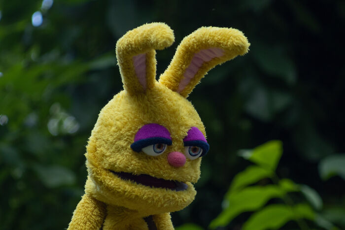 I Make Puppets For Video Or For Storytelling