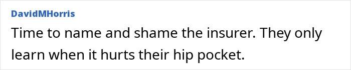 Comment by DavidMHorris expressing frustration about an insurance company refusing coverage after a woman was knocked unconscious by a bird.