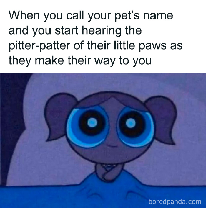 Cute cartoon character with big blue eyes anticipating their pet’s approach in a funny and cute animal memes style.