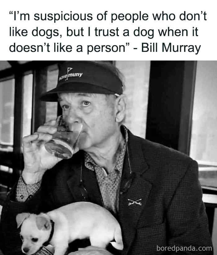 Man wearing a cap drinks from a glass while holding a small dog, featured in funny and cute animal memes to bring positivity.