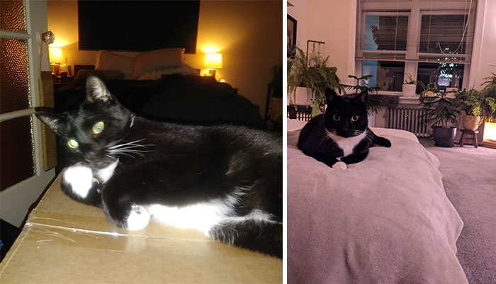 1yr Old Lenni Boi 2019 And Lenni Boi Lovin' The Sf Life