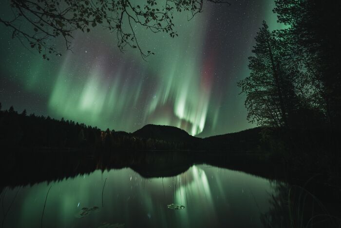 Northern Lights glowing green and purple over a forested mountain, reflecting in a calm lake at night.
