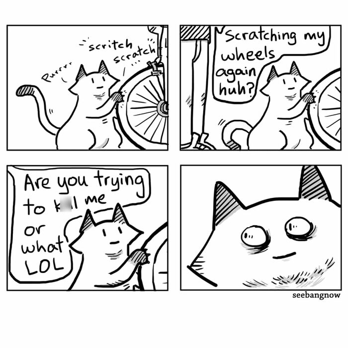Comic panels featuring a dramatic cat scratching bike wheels, showcasing honesty and an unbothered attitude in a comic style.