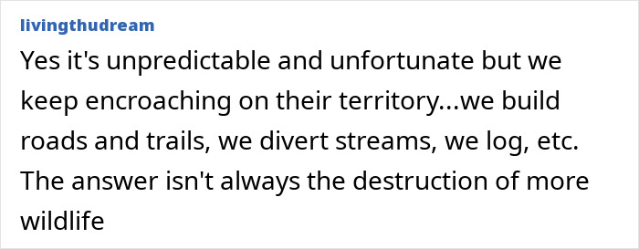 Grizzly Bear Attacks Class Of Kids, Who Are Left Desperately Fighting For Their Lives Grizzly Bear Attacks Class Of Kids, Who Are Left Desperately Fighting For Their Lives