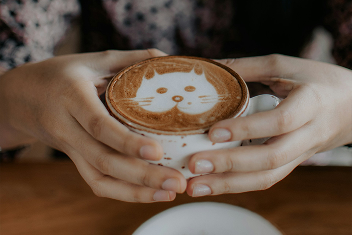 "I Can't Imagine Being So Entitled": Morning Coffee Drives A Wedge Between MIL And DIL