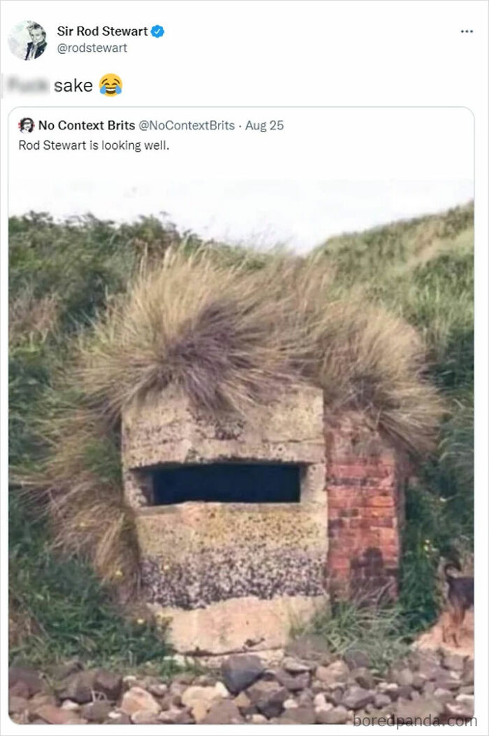 Old concrete bunker with wild grass on top, resembling Rod Stewart’s hairstyle, in a hilarious Scottish internet post.