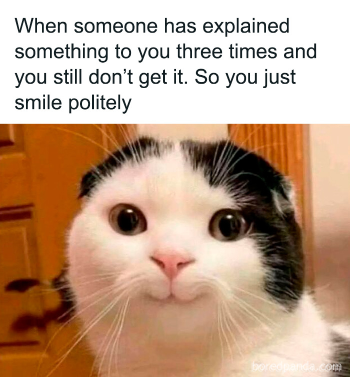 Cat with wide eyes and a polite smile, humorously illustrating hilarious educational memes about not understanding explanations.