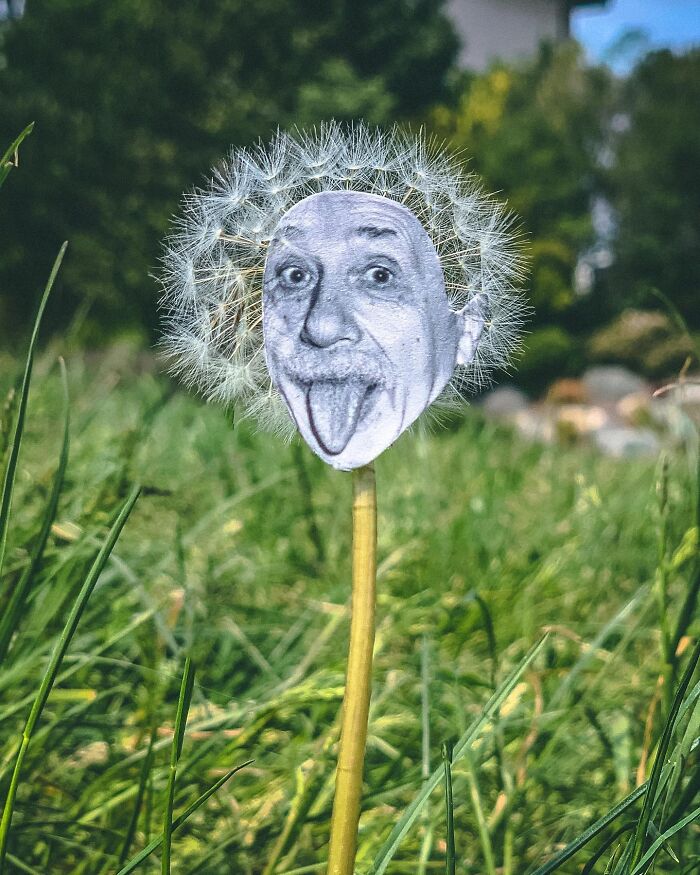 Dandelion with a paper cutout face interacting with real life grass and outdoor natural background.