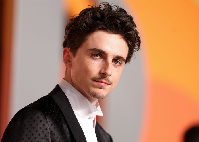 Timoth&eacute;e Chalamet posing at an event, sparking fan theory linking him to masked rapper EsDeeKid in viral video.