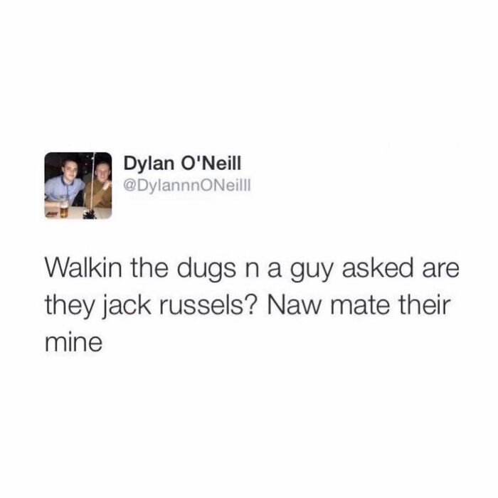 Tweet by Dylan O'Neill showing humorous Scottish slang about walking dogs and mistaken breeds in a casual social media post.