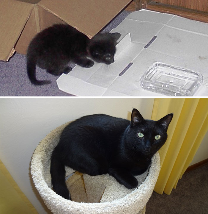 Asta (Oct. 2009 And Recently)