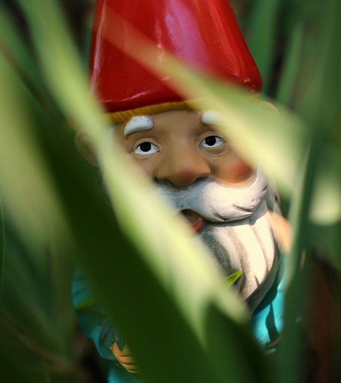 “Could Not Wear Camouflage Clothing”: 44 Of The Most Outrageous HOA Rules People Have Endured