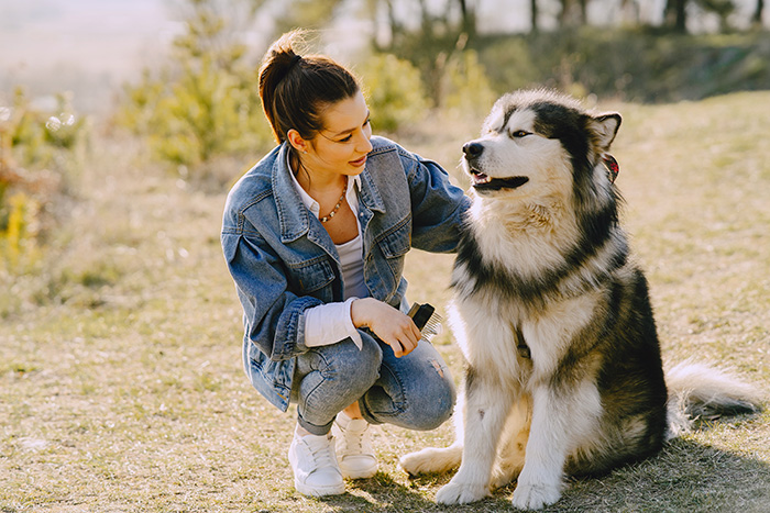 Woman in denim jacket brushing her large dog outdoors, exploring if dogs can be autistic like humans according to scientists.