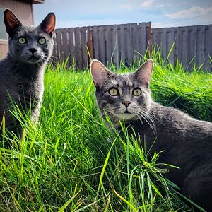 sarah_frazier_547 avatar