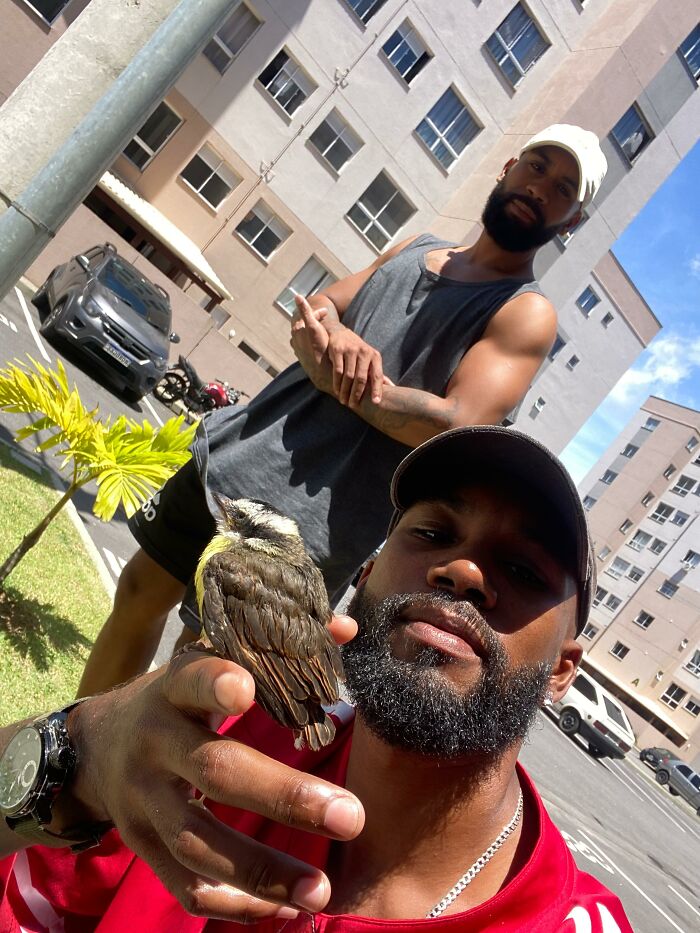 Man holding a rescued Great Kiskadee bird on his hand outside apartment buildings on a sunny day