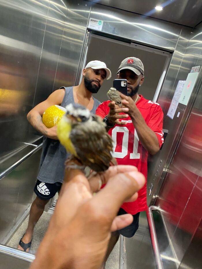 Two men taking a selfie in elevator holding a rescued great kiskadee bird on hand close to the camera.
