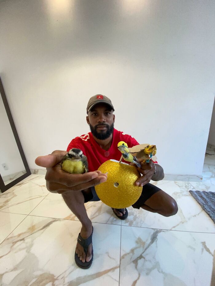 Man holding a rescued great kiskadee bird and a handmade mini bird mom crafted from cardboard and decorative materials.