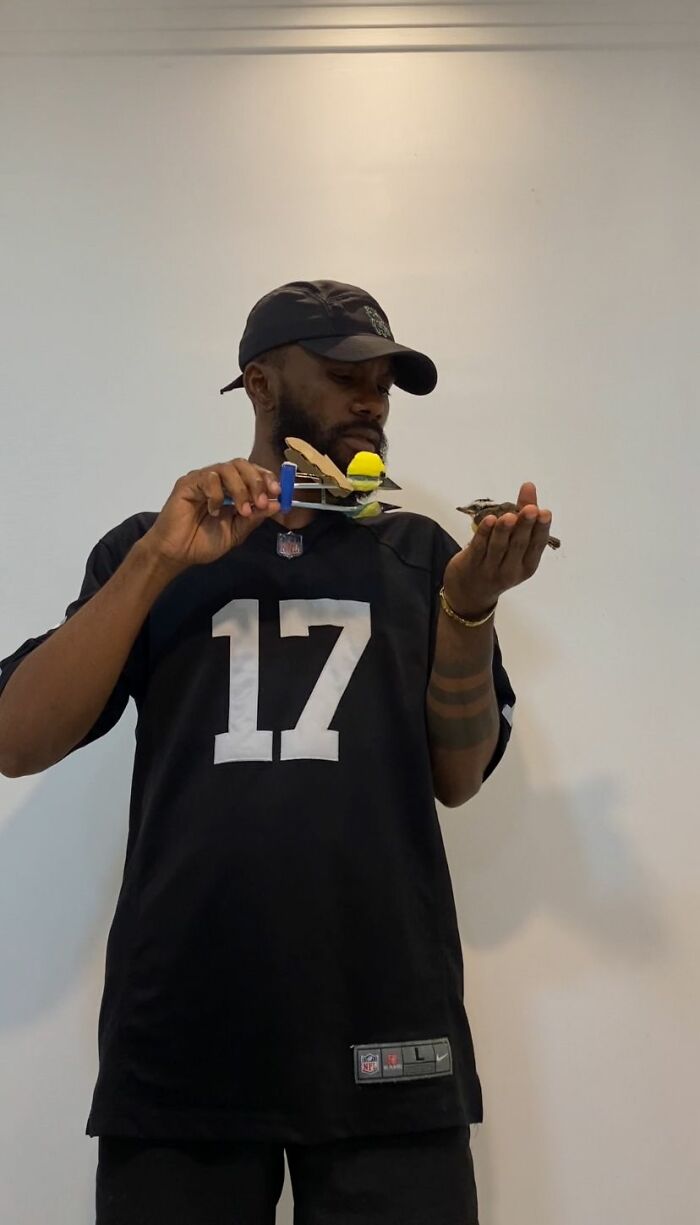 Man holding a rescued great kiskadee bird and a mini bird mom model, wearing a black cap and sports jersey.