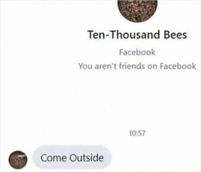 Screenshot of a humorous Facebook message from Ten-Thousand Bees saying Come Outside, an example of pics that go hard.